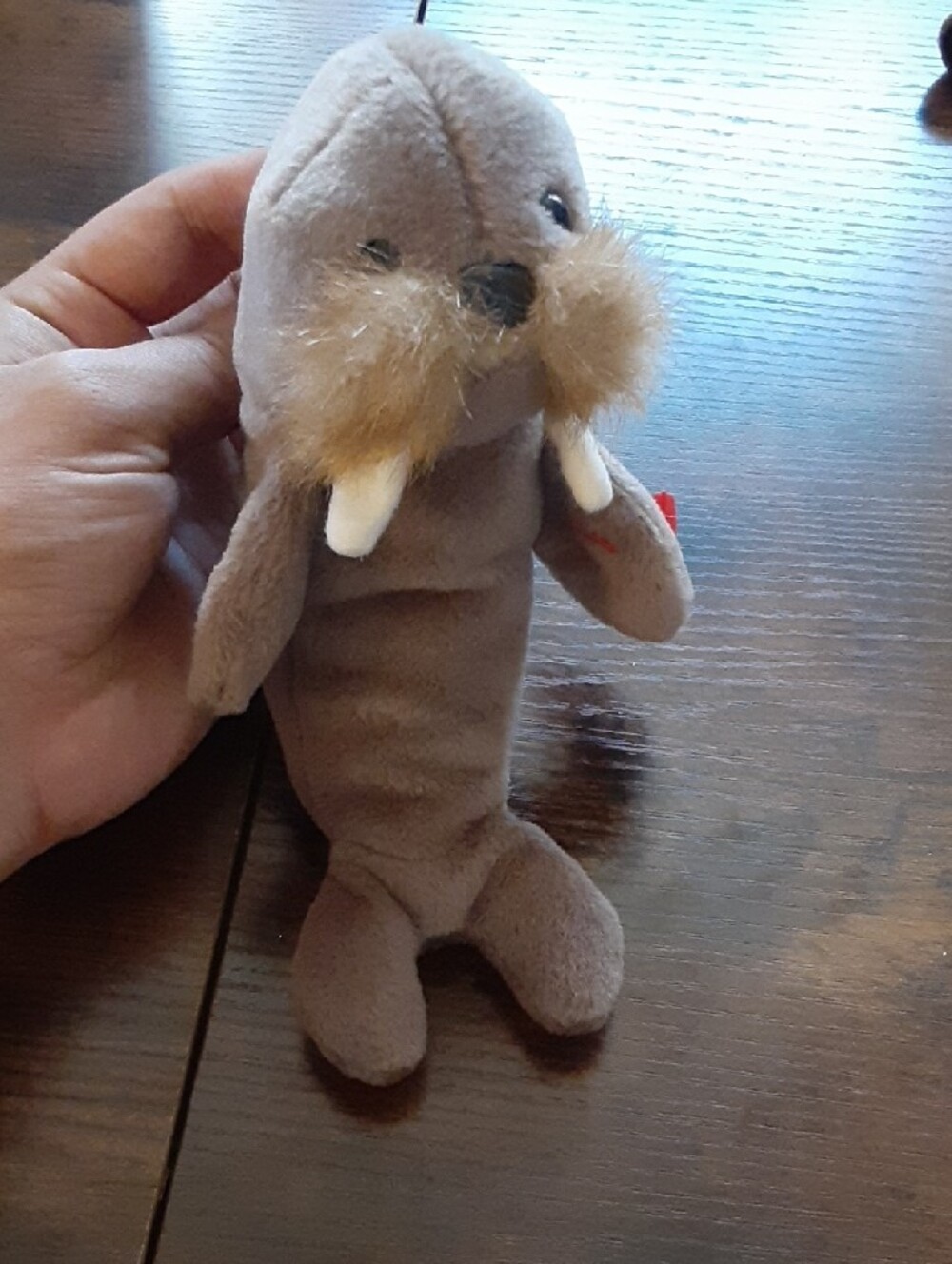 Pick one! Ty Plush Animals - Picture 10 of 14